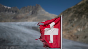 El atacante que hiri&oacute; a 6 personas en Suiza es un espa&ntilde;ol sin v&iacute;nculos terroristas