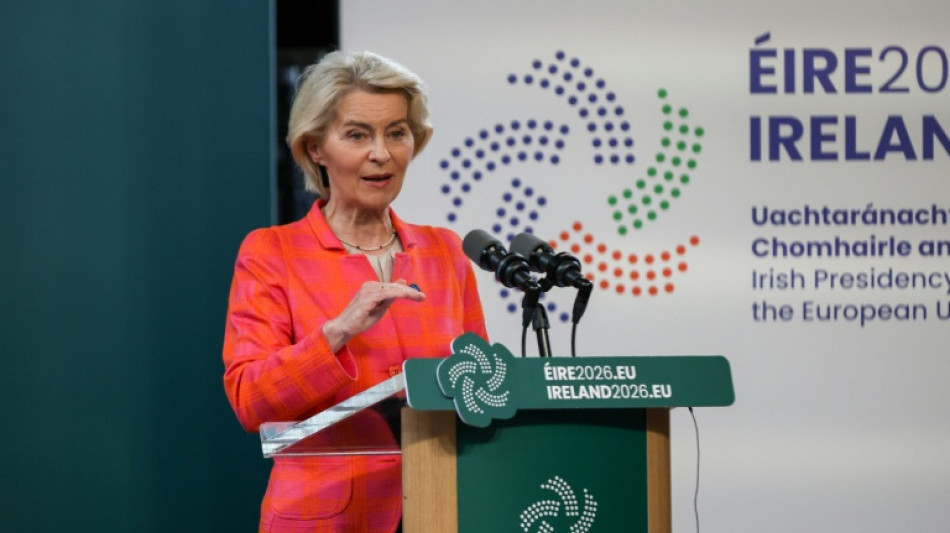 Von der Leyen: Technische Probleme mit EU-Grenzkontrollen werden gel&ouml;st