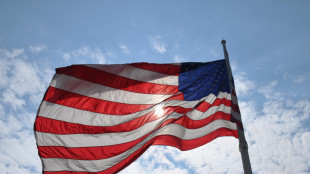 Dai grandi gruppi Usa 2 miliardi di tasse in Italia