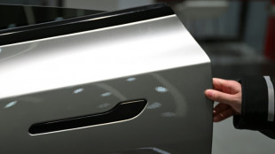 S&eacute;curit&eacute; auto: la Chine va interdire les poign&eacute;es affleurantes