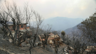 Les d&eacute;put&eacute;s alg&eacute;riens &eacute;tendent la peine de mort aux auteurs de feux de for&ecirc;t