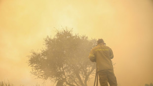 Tourists rescued by boat as forest fire threatens Greek beaches