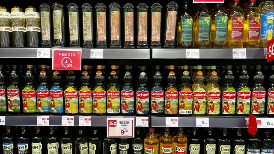 El sector del aceite de oliva busca soluciones frente al cambio clim&aacute;tico