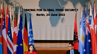 Cuarenta pa&iacute;ses buscan "soluciones" a la crisis alimentaria en una conferencia en Berl&iacute;n