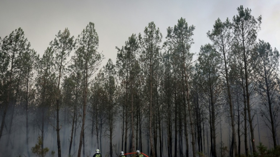 Incendies en Gironde: "moins de foyers actifs" mais la chaleur menace