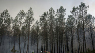 Incendies en Gironde: "moins de foyers actifs" mais la chaleur menace