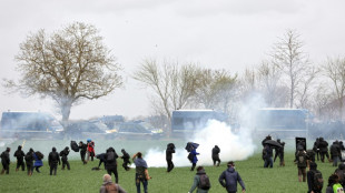 Violentos enfrentamientos en manifestaci&oacute;n contra embalses agr&iacute;colas en Francia