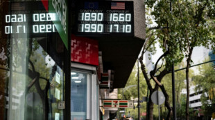 Sheinbaum celebra su victoria oficial entre nerviosismo de los mercados de M&eacute;xico