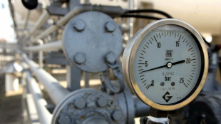 Il prezzo del gas scende ancora, Ttf -0,3% a 32,2 euro