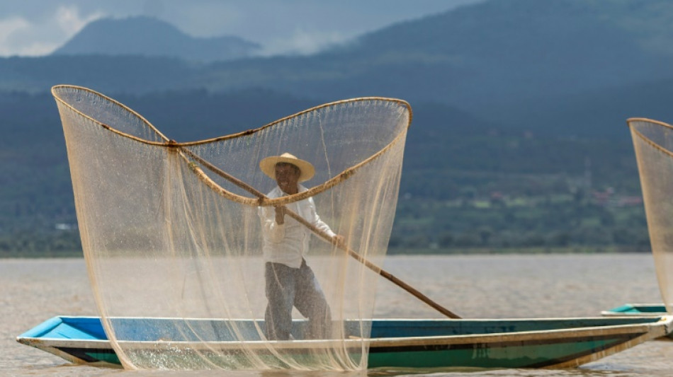 En M&eacute;xico, rescatan el lago de P&aacute;tzcuaro con peces blancos y limpieza de manantiales