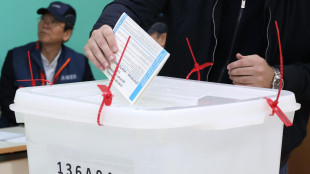 Bosnia, nominato presidente ad interim in entità serba