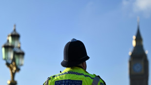 La polic&iacute;a londinense es racista, mis&oacute;gina y hom&oacute;foba, afirma un informe