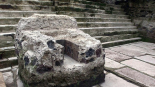 El sacrificio de una gallina en el Senado causa esc&aacute;ndalo en M&eacute;xico