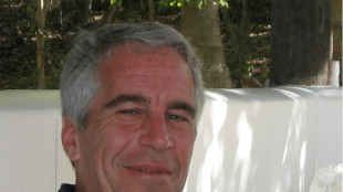 Des comptes pro-Kremlin utilisent les dossiers Epstein pour d&eacute;sinformer