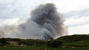 Var : l'incendie reste contenu avant une "nouvelle bataille" contre le vent